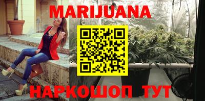 гидра Кандалакша