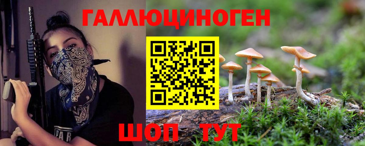 цены наркотик  Вход с VPN  Куйбышев  Псилоцибиновые грибы GOLDEN TEACHER 